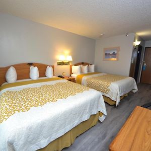 Deluxe  Queen Room Disability Access